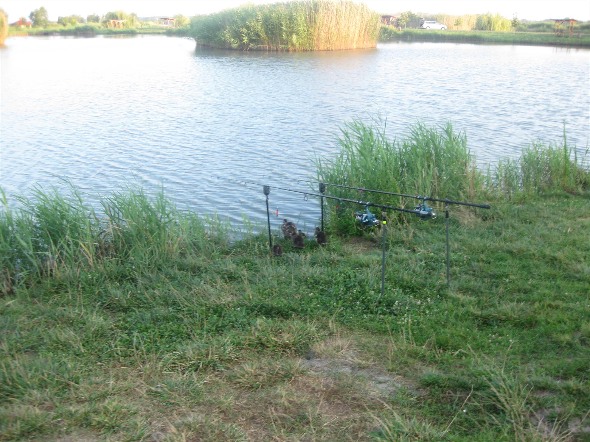 Derek 3 - img0128.JPG